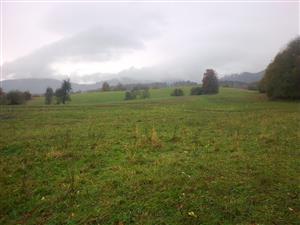 Pohľad na lúku na Holom vŕšku